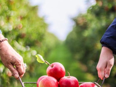 WhatsApp Image 2025-04-29 at 16.44.03 (6)