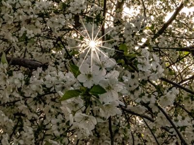 WhatsApp Image 2025-04-29 at 16.45.26