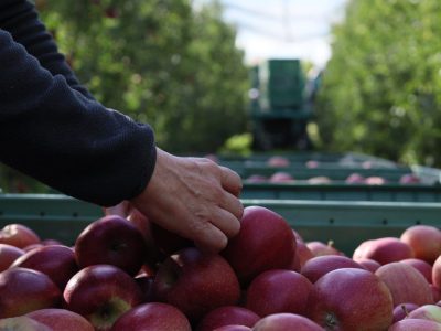 whatsapp image 2025 12 21 at 12.39.24 (3)